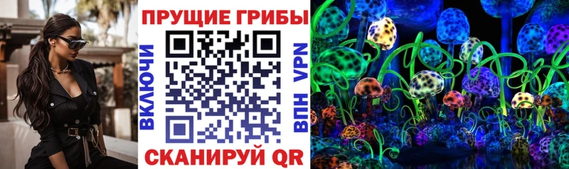 Псилоцибиновые грибы мухоморы  купить наркотики цена  Вологда 