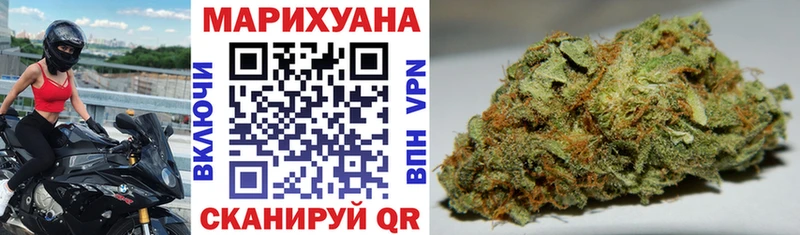 Конопля гибрид Вологда